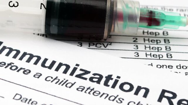 Child care immunization record document