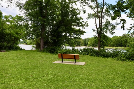 The wood empty park bench in the park.
