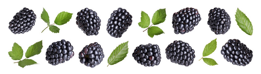 Fresh juicy blackberries and green leaves isolated on white, set © New Africa