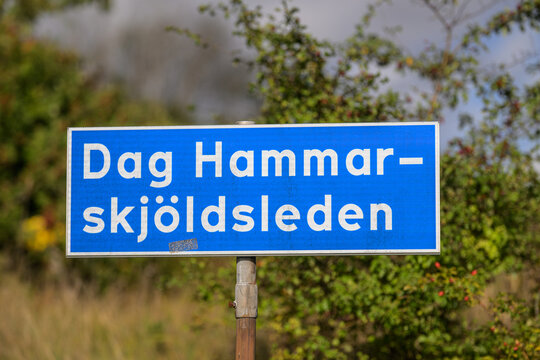 Dag Hammarskjoldsleden blue road sign beside green vegetation.