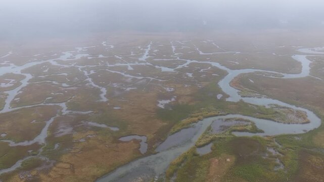 Low clouds drift over a beautiful salt marsh growing in Orleans, Massachusetts. Salt marshes are an incredibly important coastal habitat used by many species of fish, birds, and shellfish.