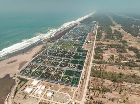 Aerial view of Kebumen Shrimp Farm with numerous rectangular aquaculture ponds along the coastline with waves crashing on the beach in Kecamatan Petanahan, Jawa Tengah, Indonesia.