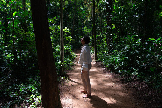 Exploring the forest path