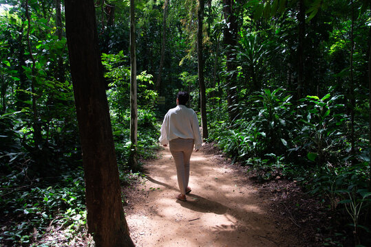 Exploring the forest path