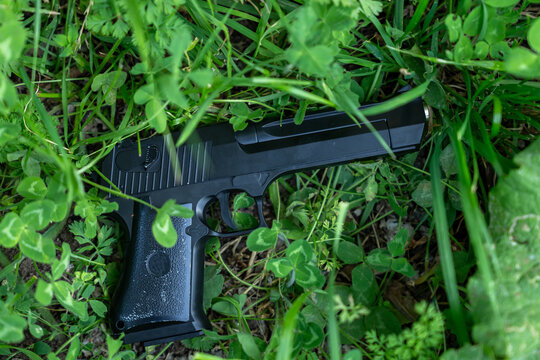 The pistol is lying on the grass.
