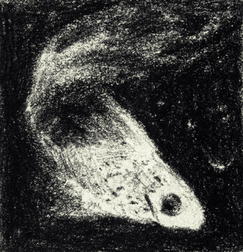 black and white grunge texture with beautiful hand drawn fish 