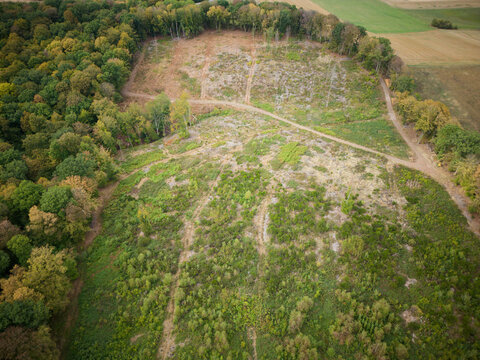 Aerial view of a forest clearing with dirt paths and surrounding dense woodland in Tholey, Saarland, Germany.