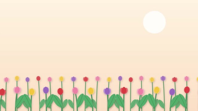 Animated flat design papercut colorful tulips bottom border under sun with blank copy space