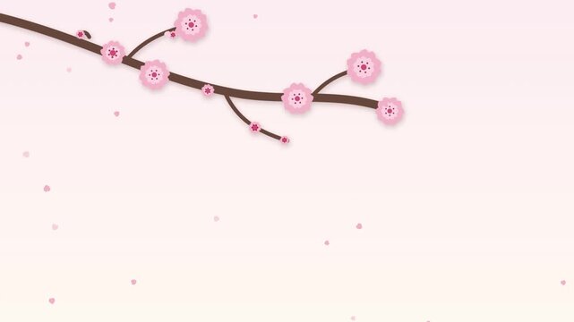 Animated flat design papercut cherry blossom branch with falling petals and blank copy space on pink background