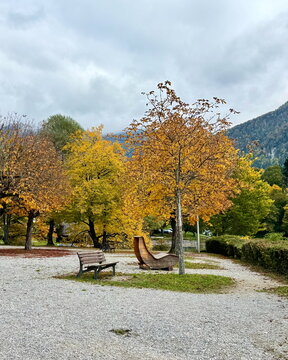 Vertical view of public park with wooden seating and autumn trees in Germany, for landscape architecture and copy space