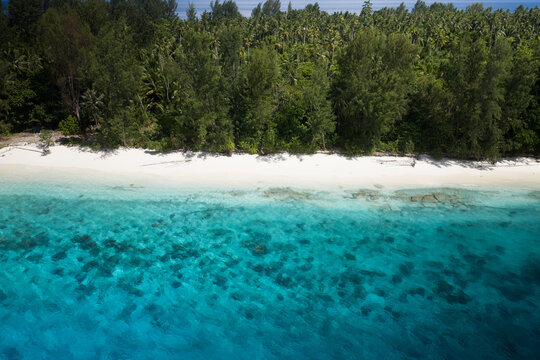Aerial view of Augusta Island with its white sand beach, turquoise coral reef waters, and dense tropical forest canopy in Meos Mansar, Southwest Papua, Indonesia.