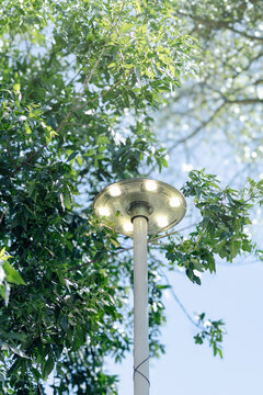 Concept of clean, green energy generation. A lit lamp set against a backdrop of trees outdoors.