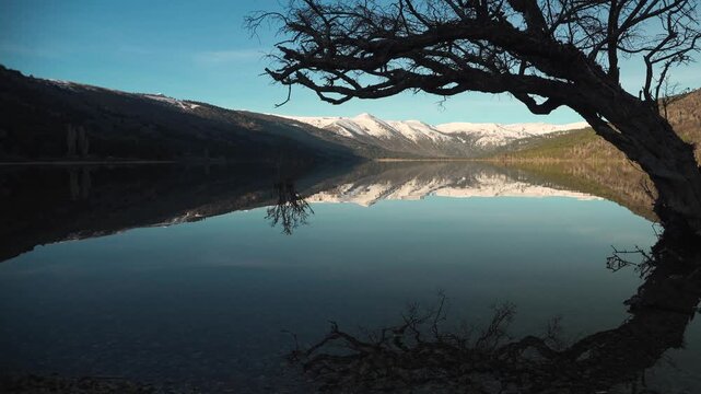 Serene alpine Ruca Choroi Lake reflecting snow-capped mountains beneath a blue sky with a large bare tree branch framing the view. Patagonia, Argentina
