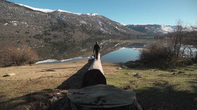 Man stands on a large fallen log extending into scenic Ruca Choroi Lake surrounded by snow-capped mountains. Neuquen, Patagonia, Argentina
