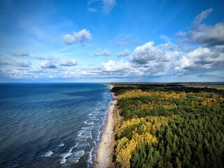 An aerial view of the Baltic Sea coastline in Palanga, featuring a sandy beach, colorful autumn forest, gentle ocean waves, and a bright blue sky filled with cumulus clouds during daytime. © Julija