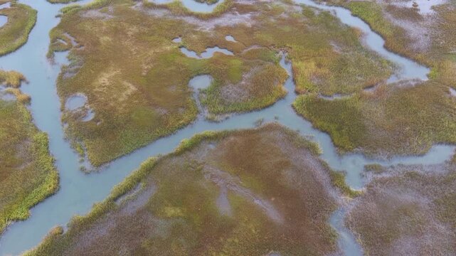 Low clouds drift over a beautiful salt marsh growing in Orleans, Massachusetts. Salt marshes are an incredibly important coastal habitat used by many species of fish, birds, and shellfish.