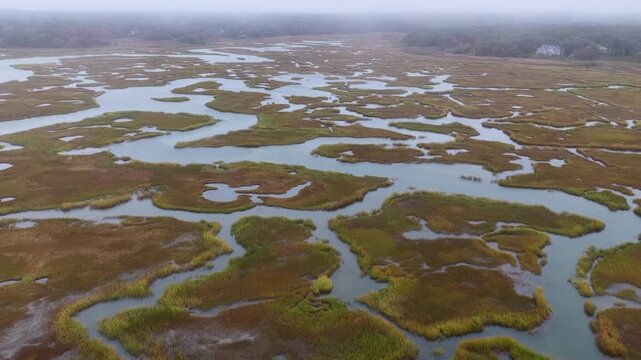 Low clouds drift over a beautiful salt marsh growing in Orleans, Massachusetts. Salt marshes are an incredibly important coastal habitat used by many species of fish, birds, and shellfish.