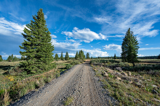 Dirt road in Flat Tops Wilderness Area in White River National Forest, Colorado under sunny summer cloudscape.
