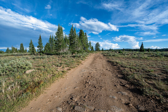 Dirt road in Flat Tops Wilderness Area in White River National Forest, Colorado under sunny summer cloudscape.