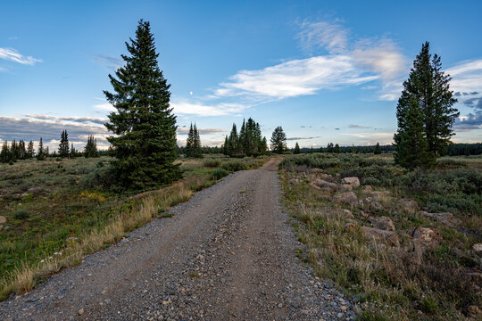 Dirt road in Flat Tops Wilderness Area in White River National Forest, Colorado under sunny summer cloudscape.