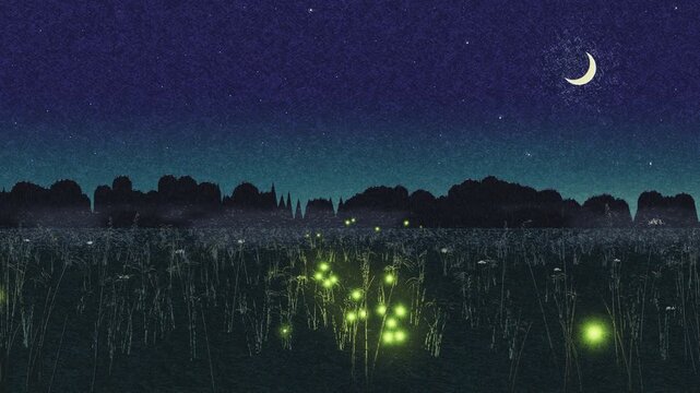 Fireflies glowing over a night meadow under a crescent moon, colored pencil drawing on black paper, summer seamless loop background with copy space