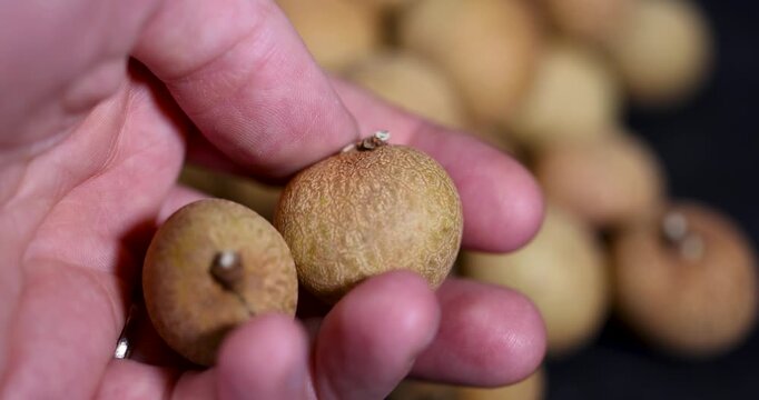 A group of ripe longan fruits with textured skin macro, texture pattern of raw exotic sweet longan