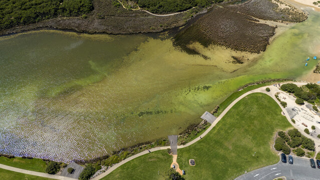 Top-down aerial drone view of Anglesea River estuary in Anglesea, Victoria, Australia, with tidal inlet&rsquo;s shallow sandbars, saltmarsh vegetation, mudflats, walking trails along the parkland reserve