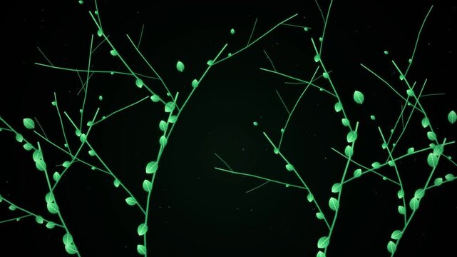 A digital animation features luminous green twigs and leaves branching across a deep black background, creating an organic nature atmosphere with soft lighting.