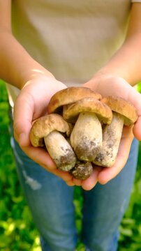 Wild mushrooms in a hand. Selective focus.