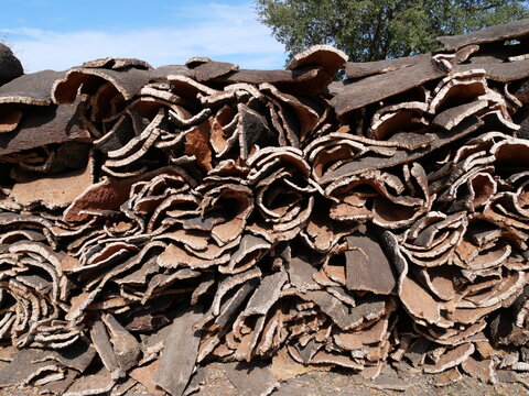 Heap of harvested tree cork