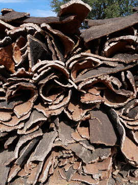 Heap of harvested tree cork vertical photo