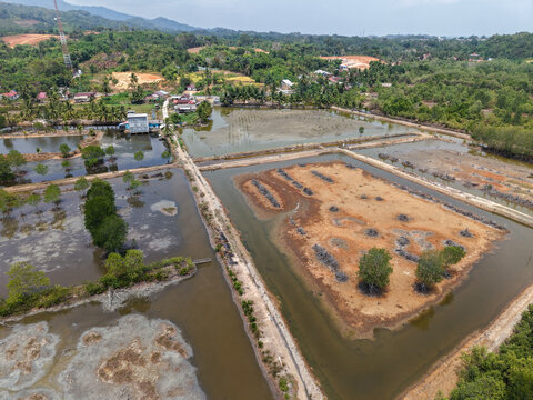 Aerial view of Sarang Tiung featuring aquaculture ponds, lush green trees, and rural infrastructure in Pulau Laut Utara, South Kalimantan, Indonesia.