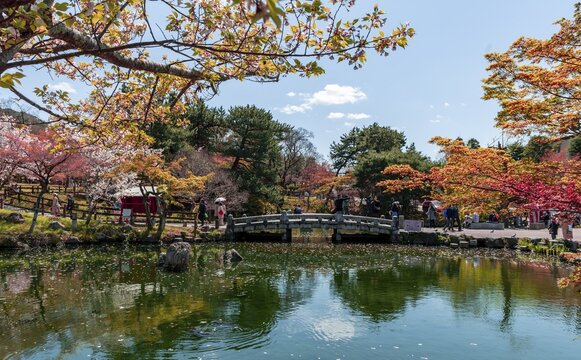 Bridge over a pond in Maruyama Park, Kyoto, Japan