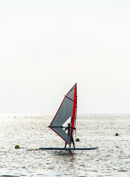 Silhouette, surfer, Sestri Levante, Liguria, Italy