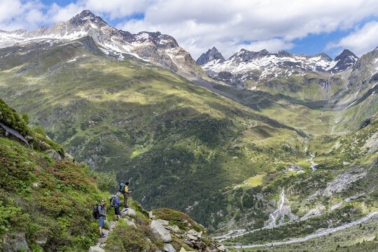 Three mountaineers on hiking trail in front of picturesque mountain landscape with blooming alpine roses, rocky mountain peaks with snow, valley Zemmgrund with Zemmbach, mountain panorama with summit Ochsner and Zsigmondyspitze, Berliner H&ouml;henweg, Zillertal Alps, Tyrol, Austria