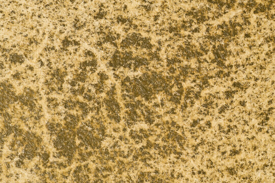 白く濁った水牛の生皮のクローズアップ。繊維が透けて見える羊皮紙風の背景。