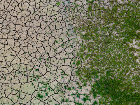 Aerial view of cracked dry earth transitioning into patches of green vegetation in Jelgava, Latvia.
