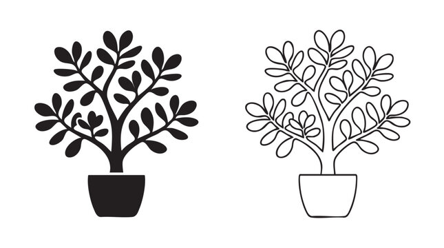 jade plant silhouette with line art vector icon