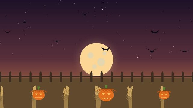 Bats fly across a harvest moon over a pumpkin patch at twilight autumn halloween pumpkins night