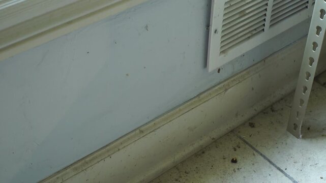 extremely dirty floor with dead bugs