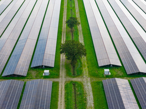 Aerial view of a large solar park with rows of photovoltaic panels separated by green grass paths and trees in The Netherlands.