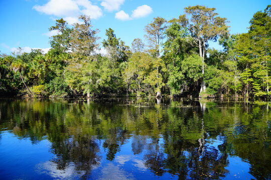 trout creek park and Hillsborough river landscape