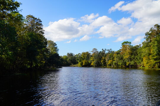 trout creek park and Hillsborough river landscape