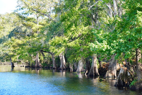 trout creek park and Hillsborough river landscape