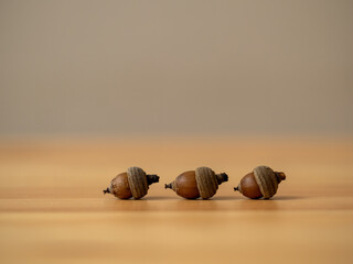 木のテーブルに並べた3つのどんぐり © Banboole Photo Works