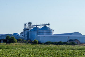 Silver Grain Silos Rise Above Green Fields Beneath a Broad Blue Sky on a Bright Rural Day © Роман Булатов