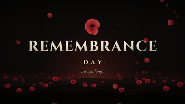 Remembrance Day Poppy Flower Animation Lest We Forget Motion Graphics Graphic Resource