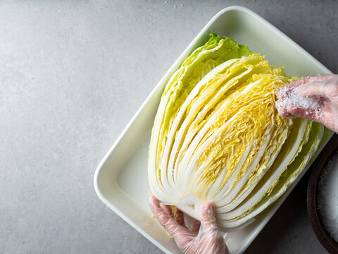 hands in plastic gloves salting and brining fresh napa cabbage in a white tray for making Kimchi