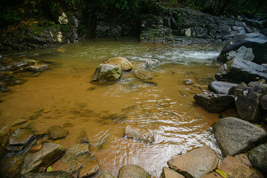 Tranquil Stream Flowing Through Rocky Forest with Clear Water and Natural Landscape