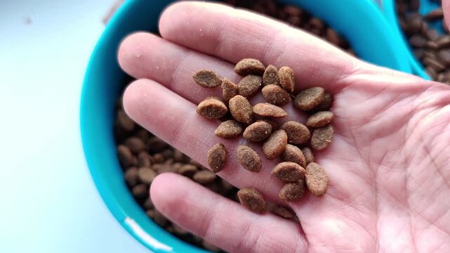 Close-up of dry pet food pellets resting in a woman's palm above a blue bowl filled with kibble, feeding preparation, pet care, daily animal routine.